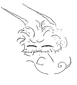 CAPRICORNE