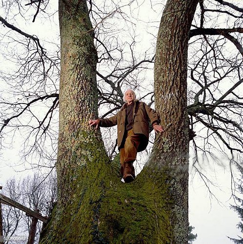Il avait une passion pour les arbres.