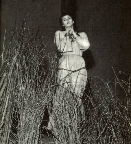 Ingrid Bergman dans les années 50.